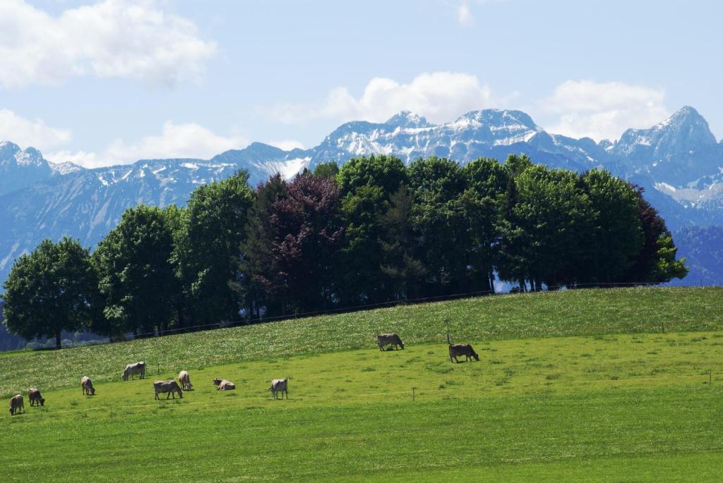 Landhaus Grobert Seeg Kültér fotó