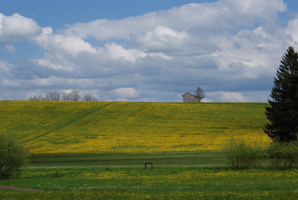 Landhaus Grobert Seeg Kültér fotó